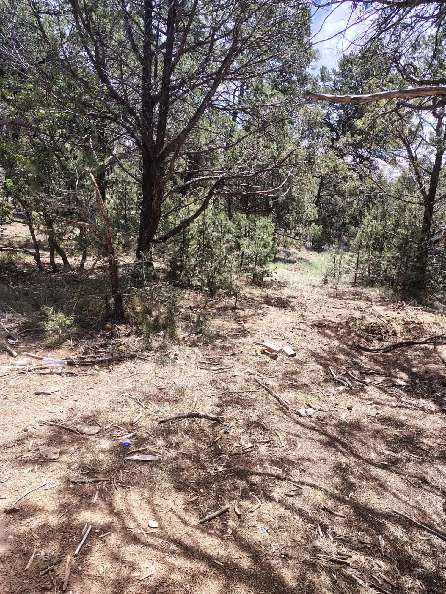 Photo 3 — 12 Quail Hollow Road