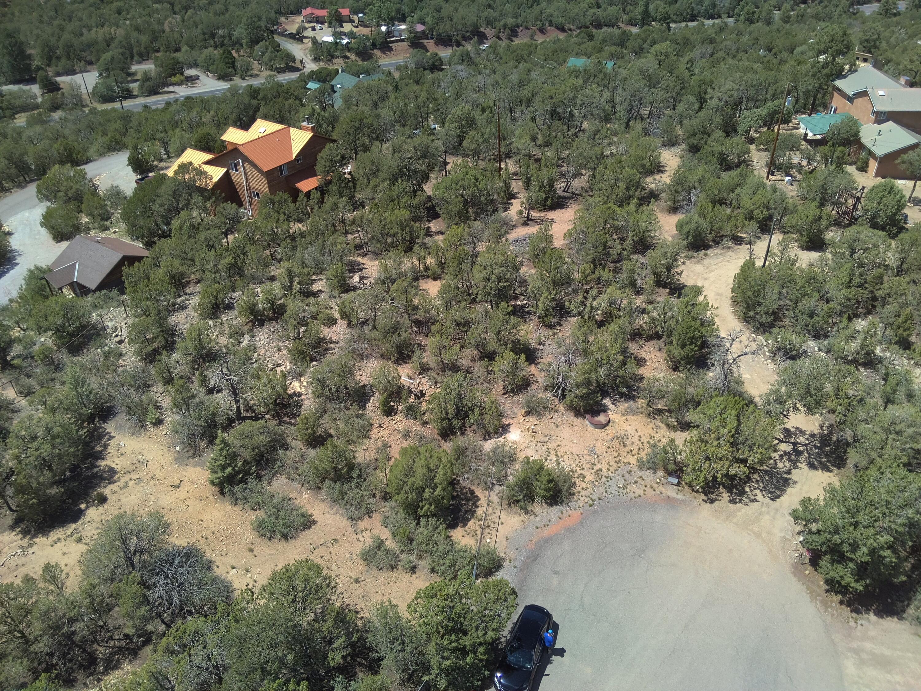 Photo 4 — 5 Mulberry Loop