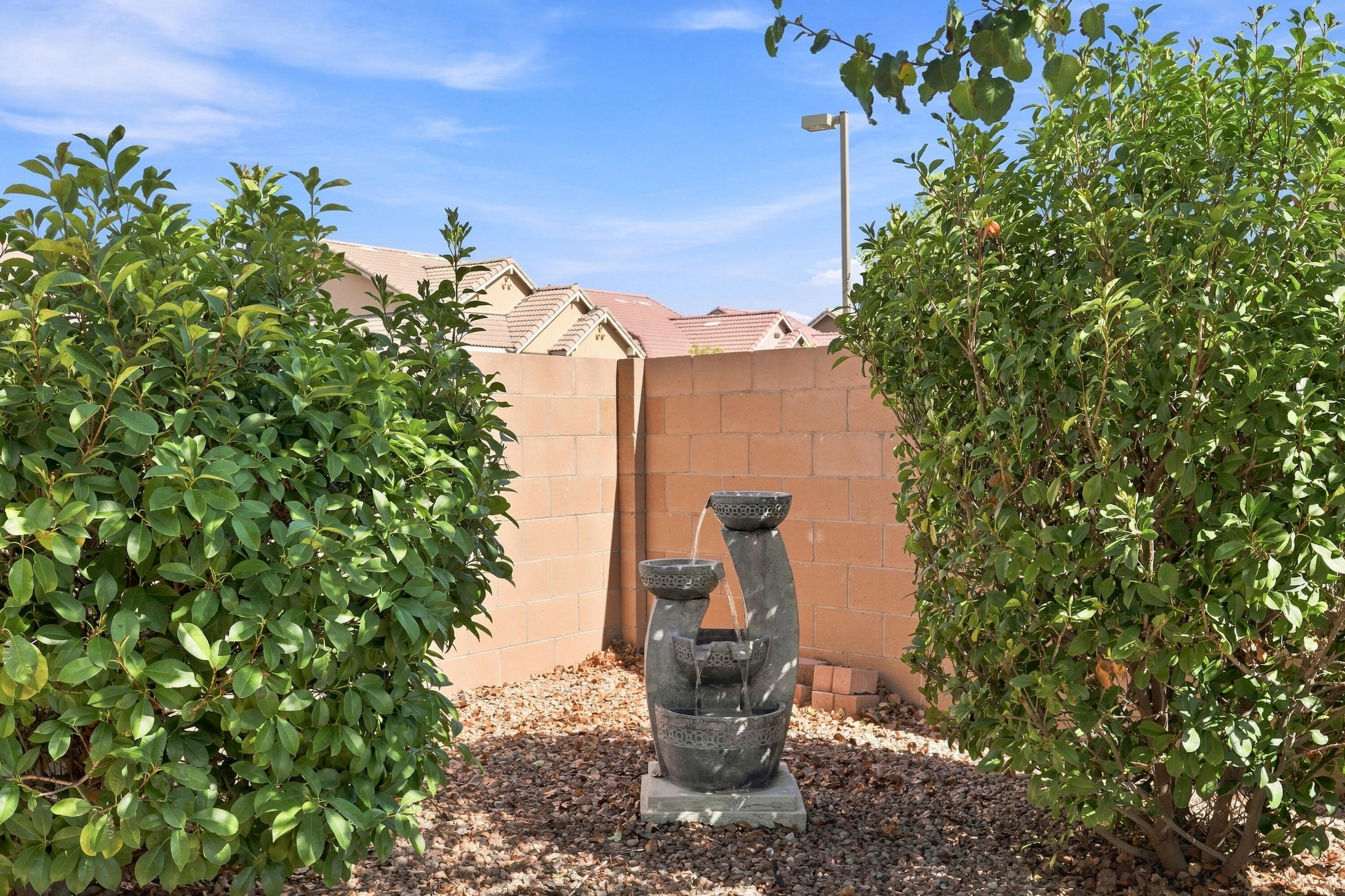 Photo 16 — 800 Palo Duro Drive