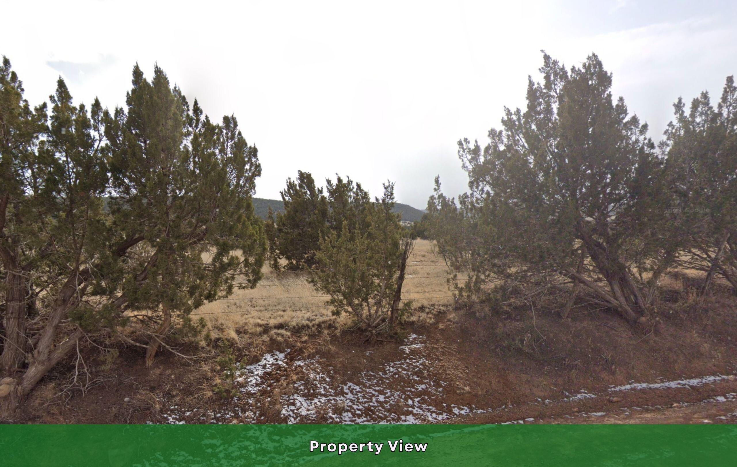 Photo 8 — 0 V-Hill- lot 12A Road