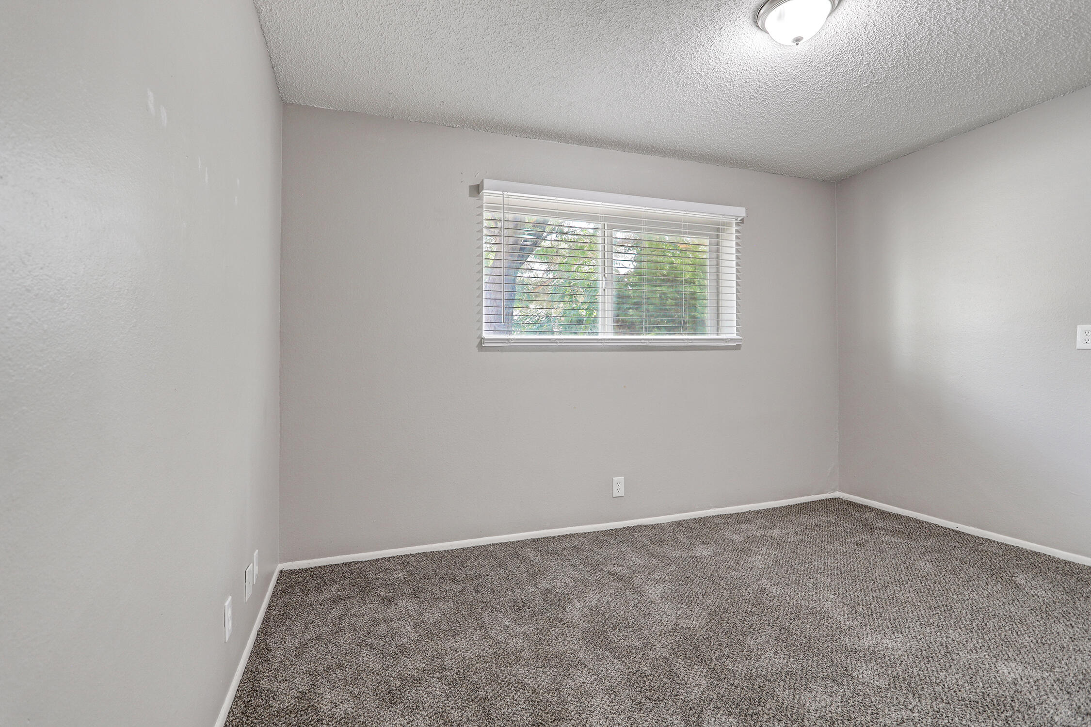 Photo 7 — 1725 Hiawatha Drive NE