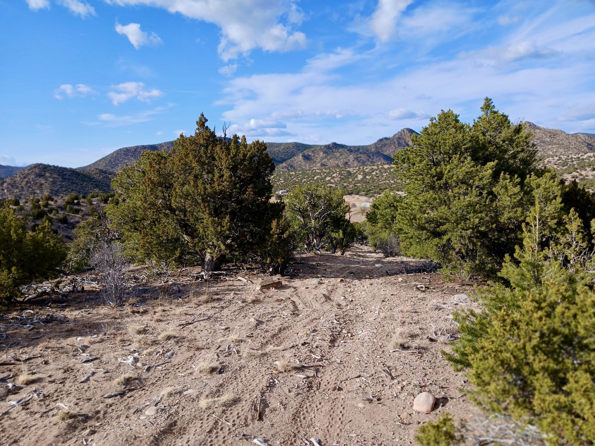 Photo 3 — 910 County Road 69