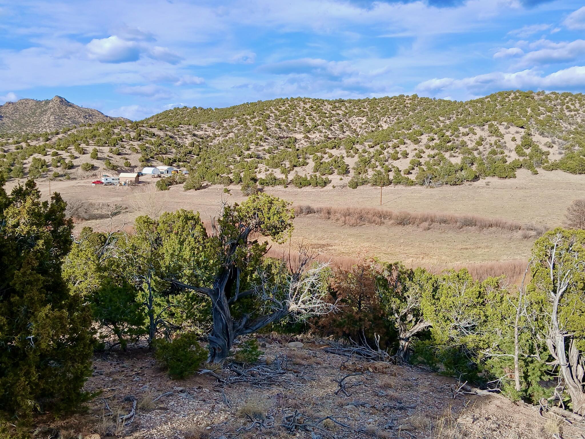 Photo 4 — 910 County Road 69