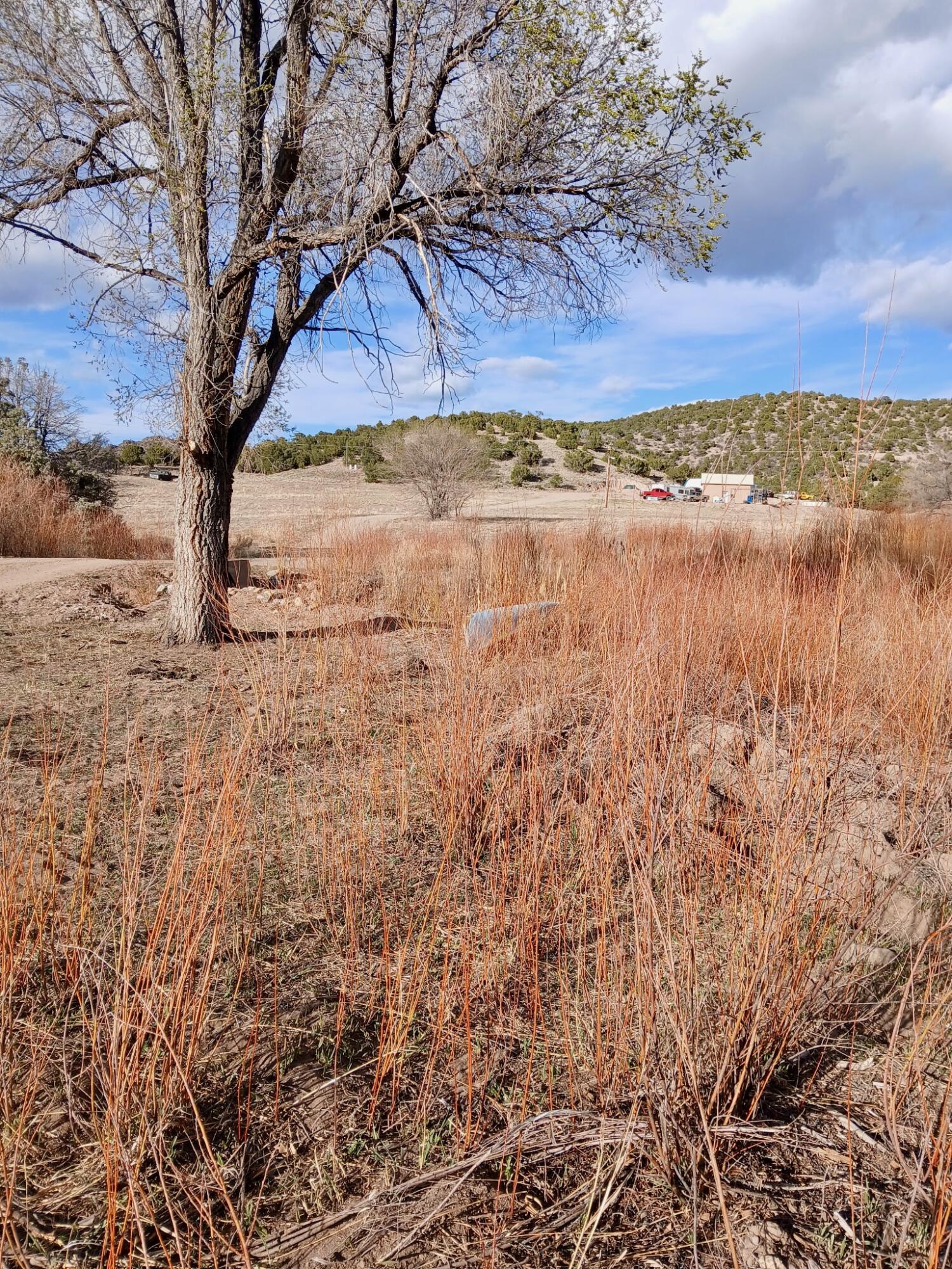 Photo 5 — 910 County Road 69
