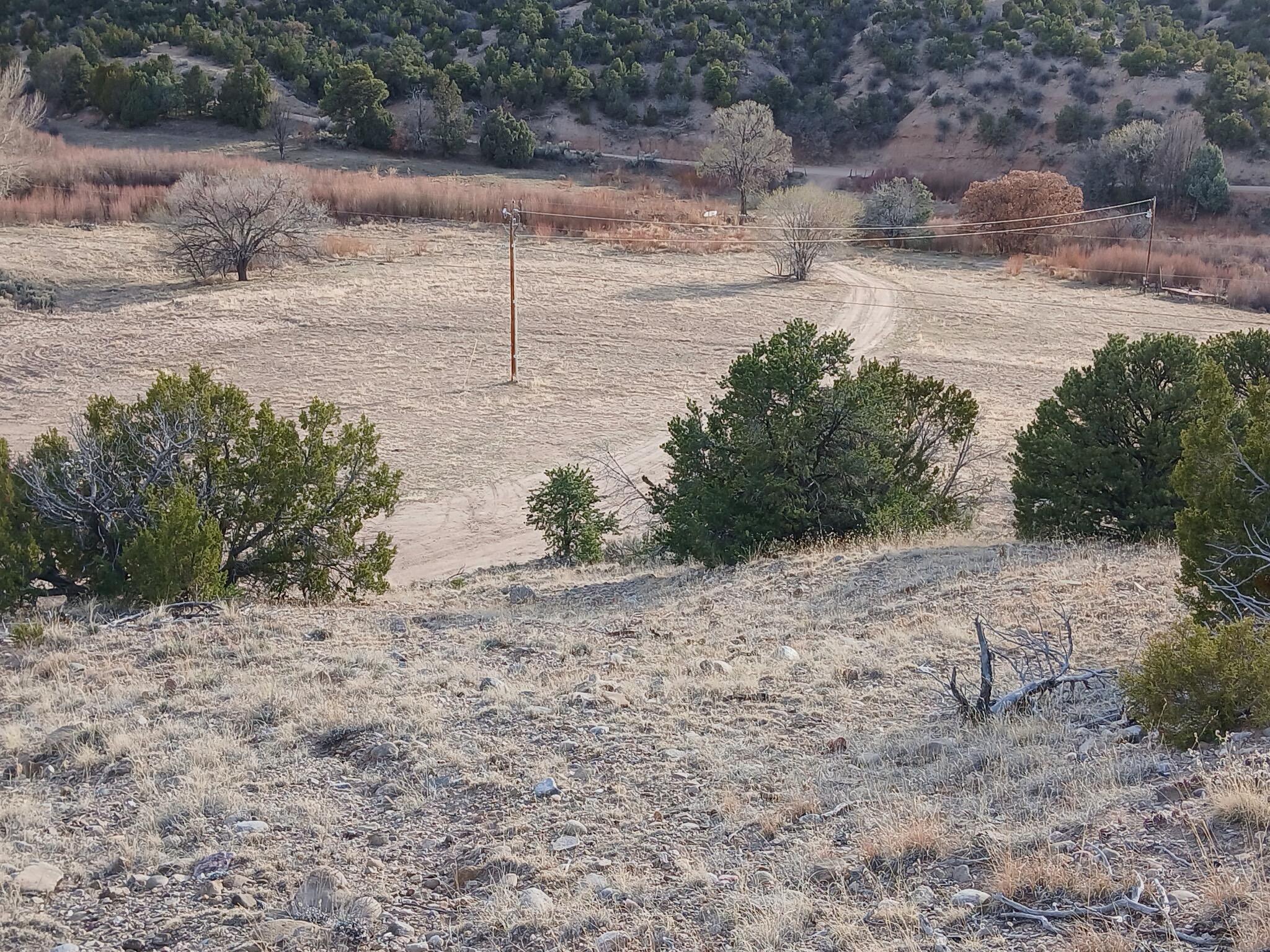 Photo 9 — 910 County Road 69