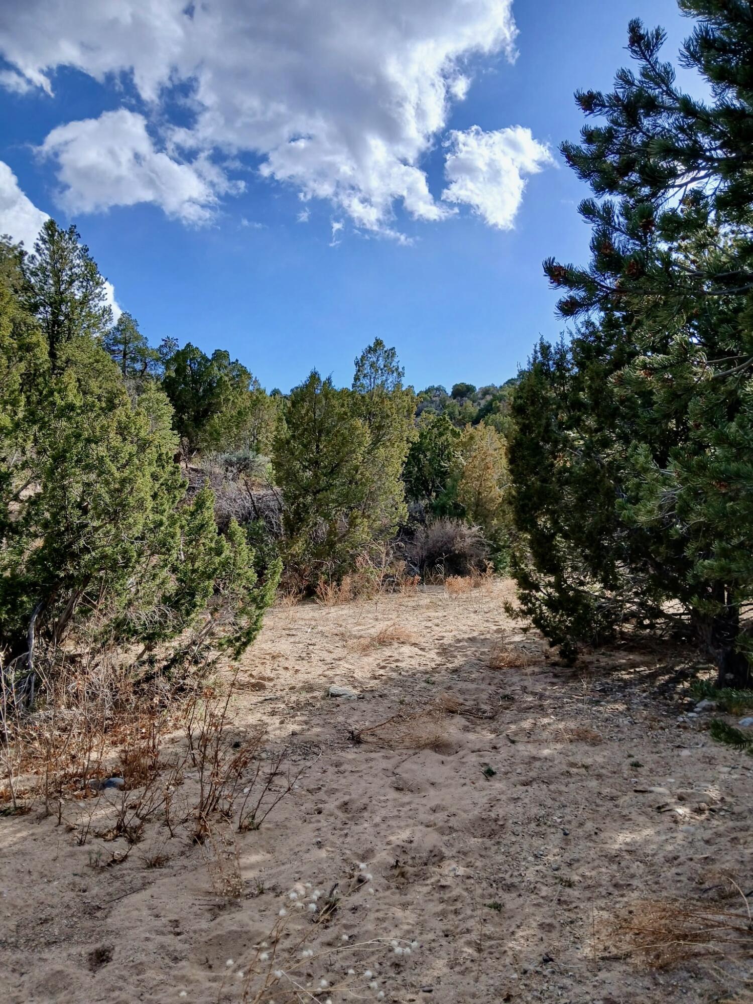 Photo 15 — 910 County Road 69
