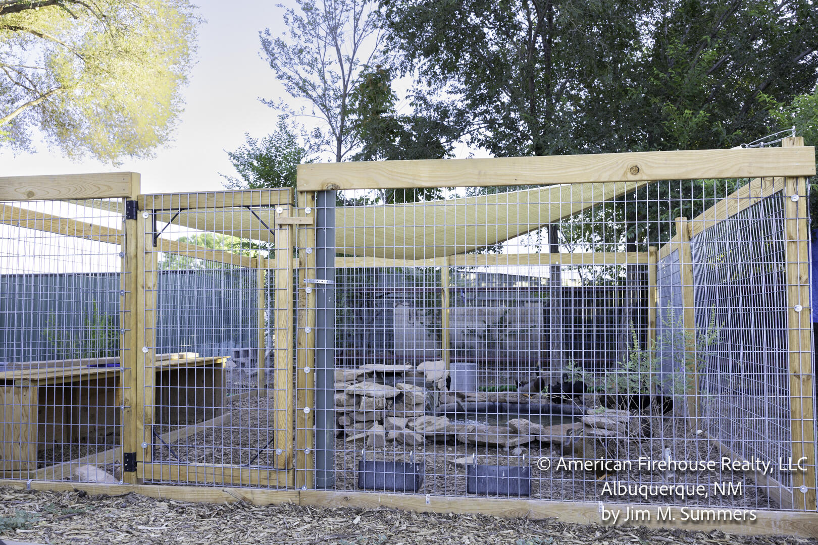 Photo 16 — 228 Appaloosa Drive