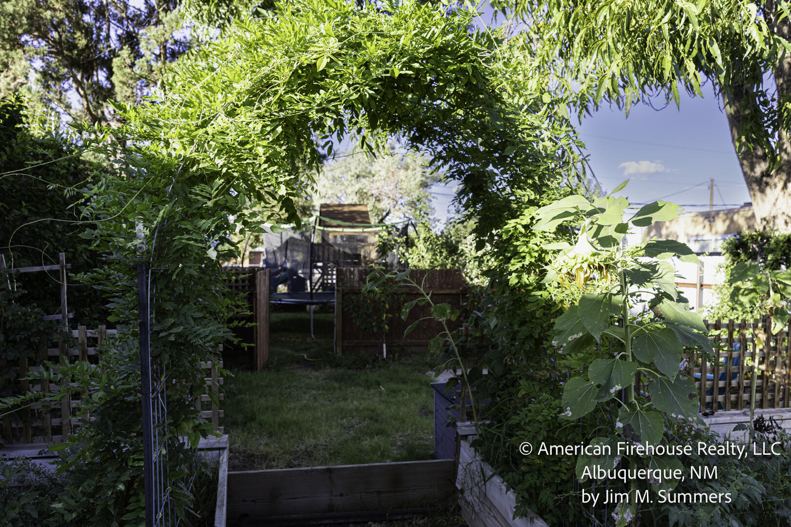 Photo 19 — 228 Appaloosa Drive