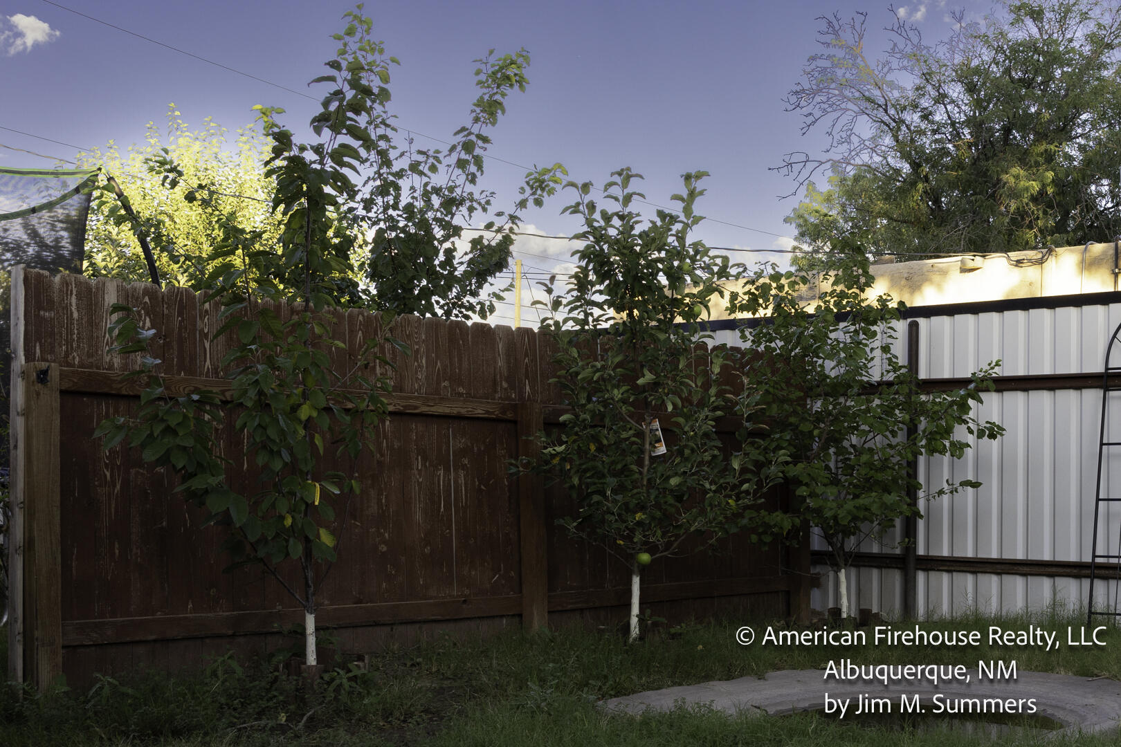Photo 12 — 228 Appaloosa Drive