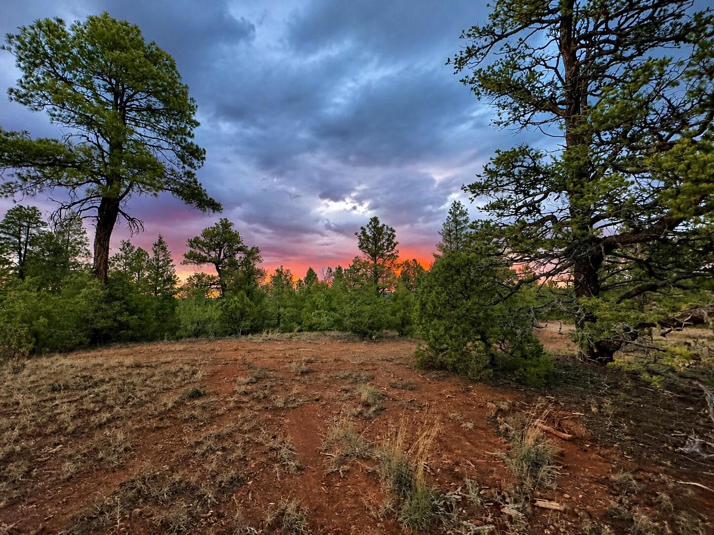 Photo 15 —  S11 21.205(AC) Venado Crest Road