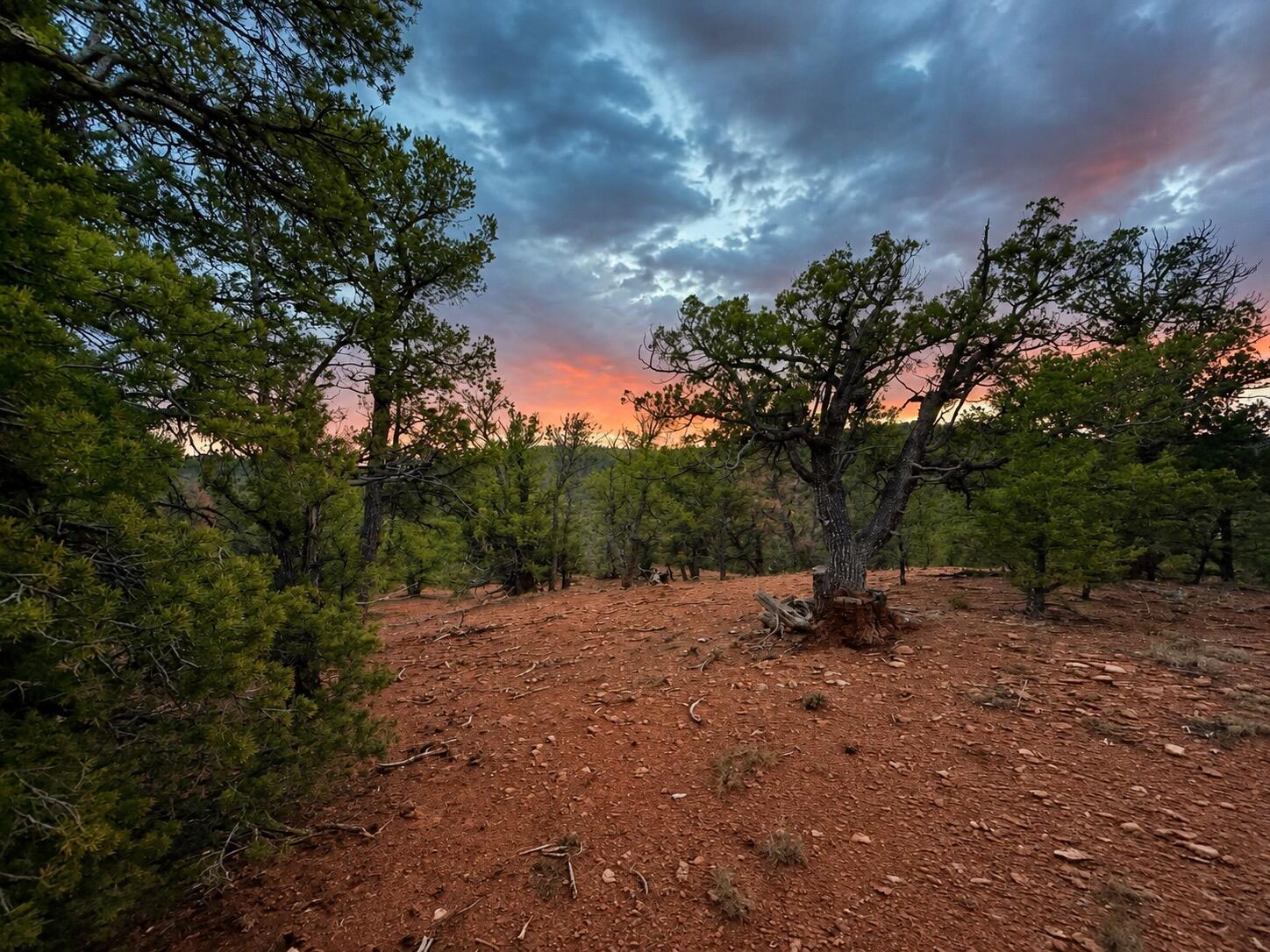 Photo 16 —  S11 21.205(AC) Venado Crest Road