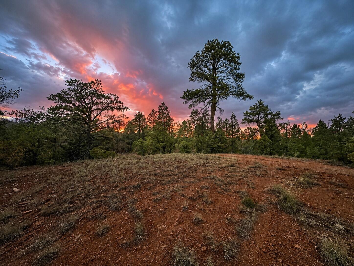 Photo 18 —  S11 21.205(AC) Venado Crest Road