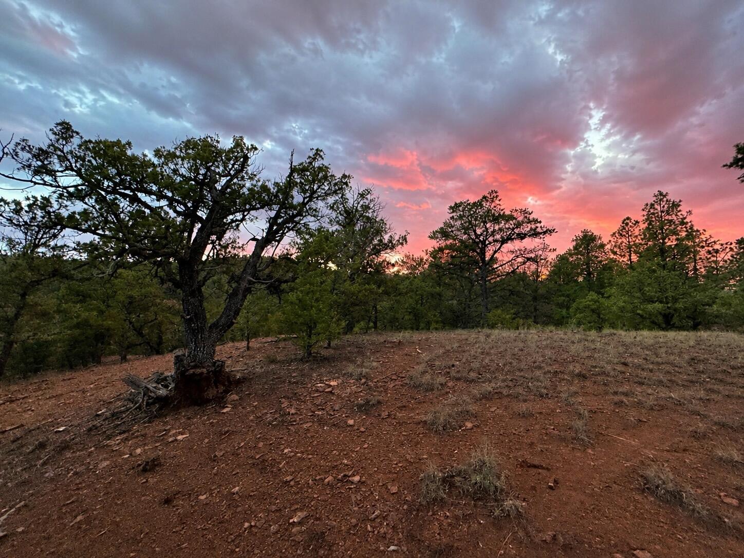 Photo 19 —  S11 21.205(AC) Venado Crest Road