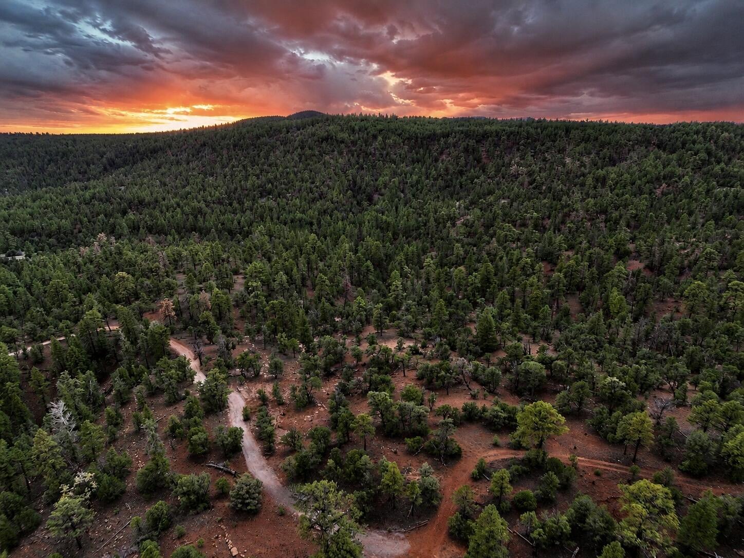 Photo 2 —  S11 21.205(AC) Venado Crest Road