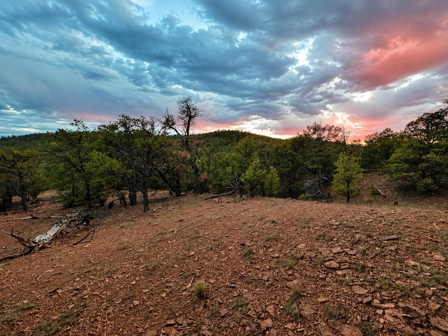Photo 3 —  S11 21.205(AC) Venado Crest Road