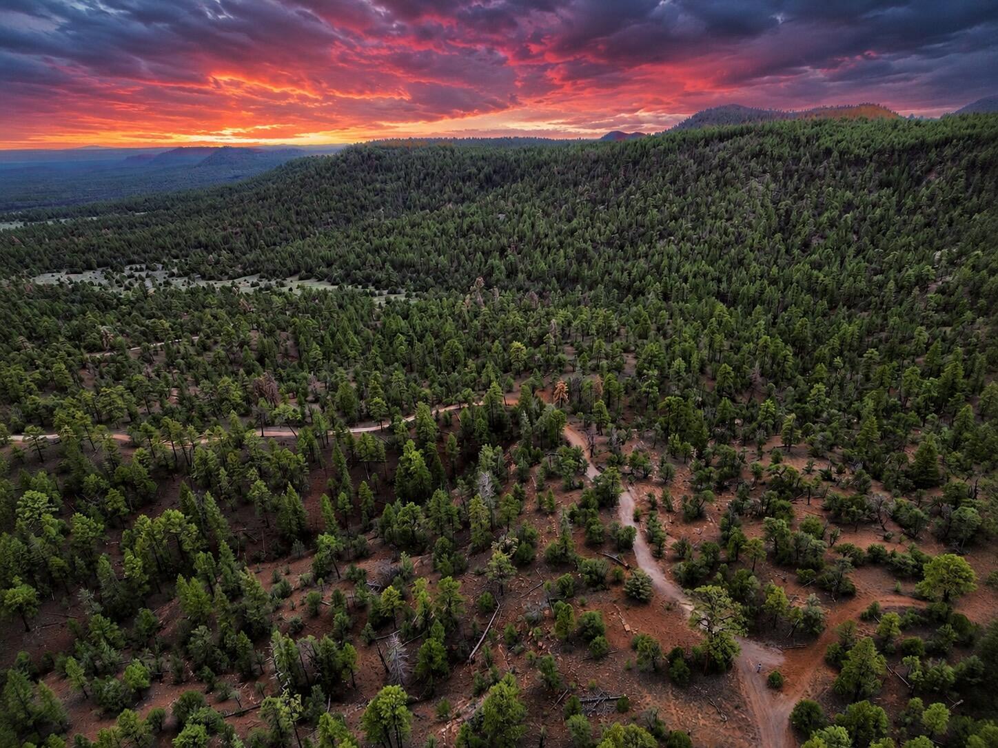 Photo 4 —  S11 21.205(AC) Venado Crest Road