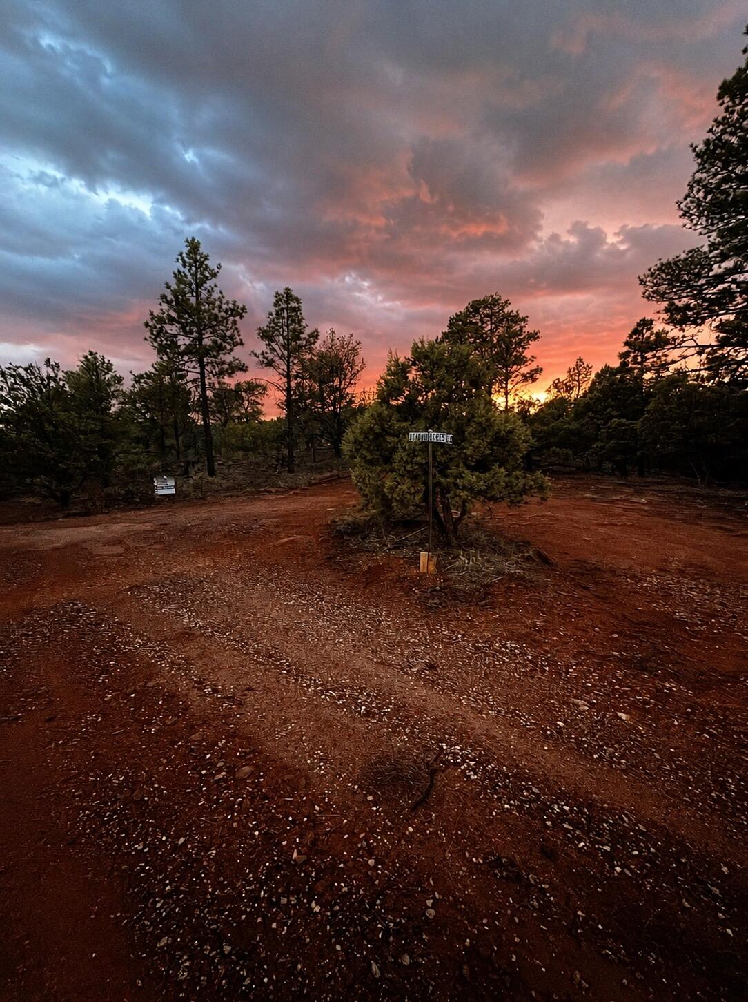 Photo 6 —  S11 21.205(AC) Venado Crest Road