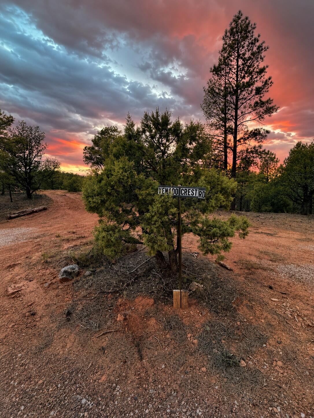 Photo 7 —  S11 21.205(AC) Venado Crest Road