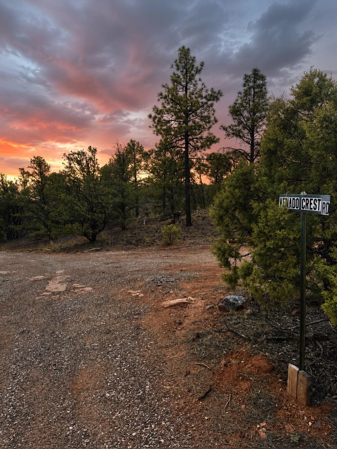 Photo 8 —  S11 21.205(AC) Venado Crest Road