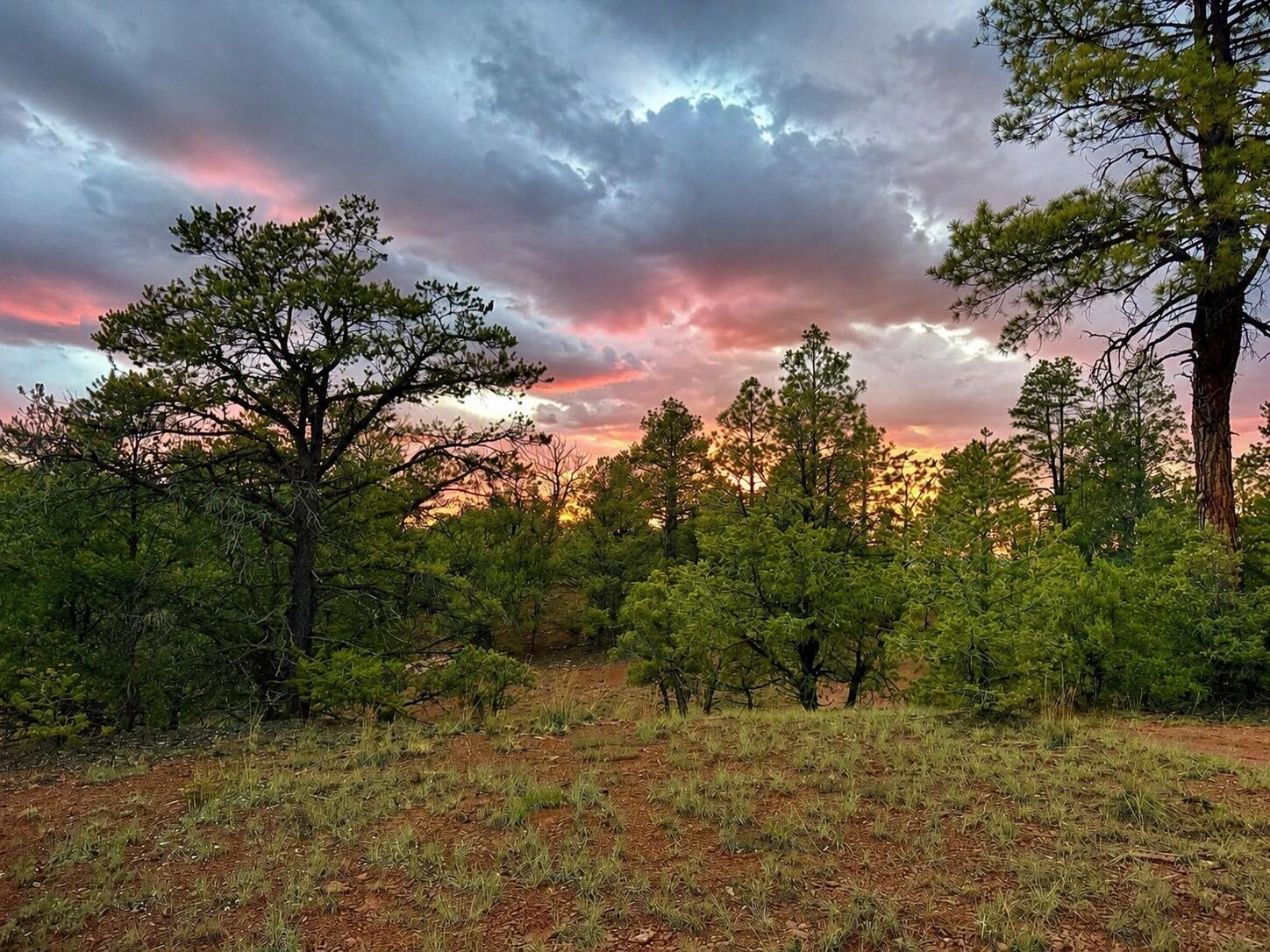 Photo 10 —  S11 21.205(AC) Venado Crest Road