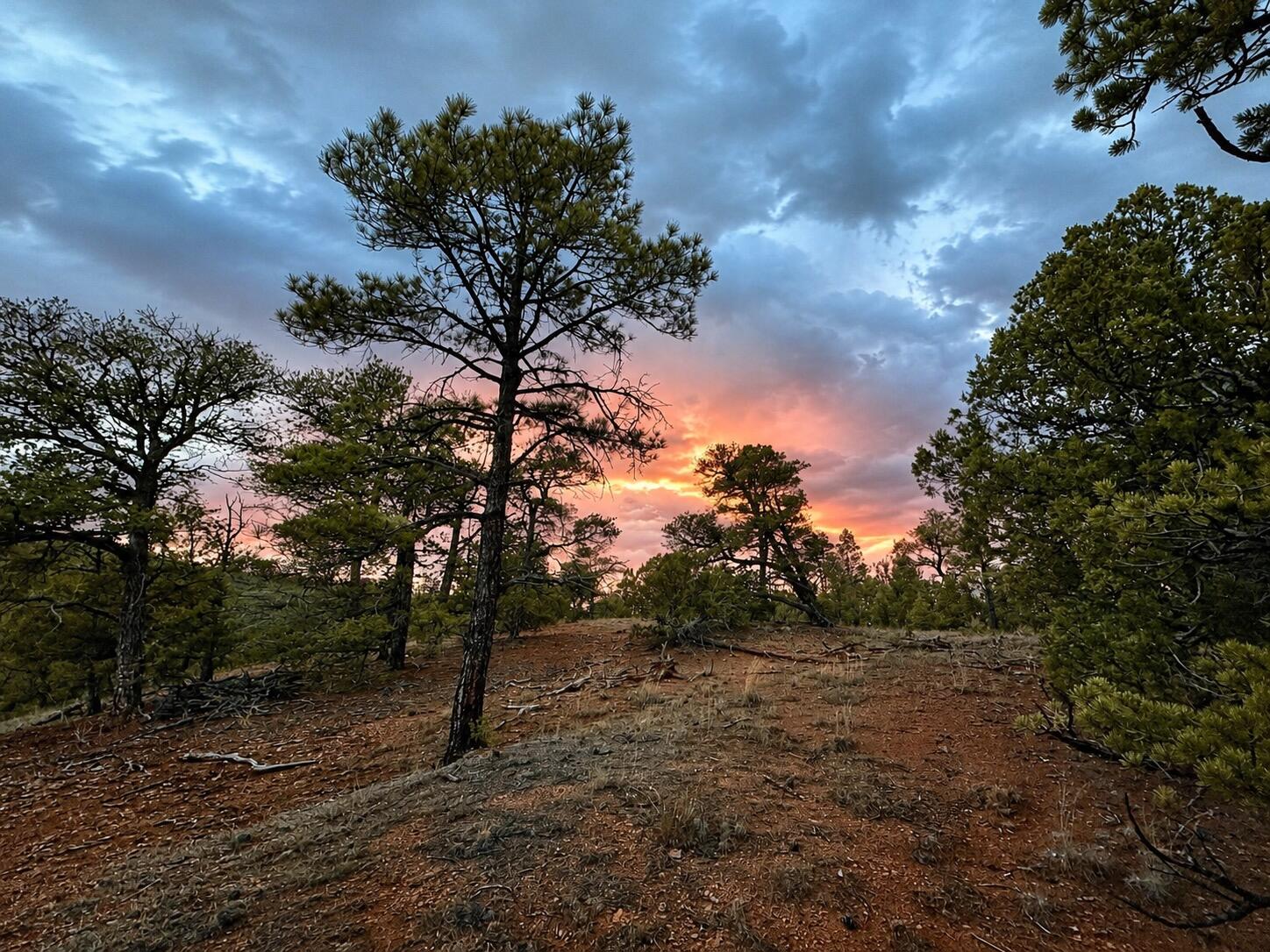 Photo 14 —  S11 21.205(AC) Venado Crest Road