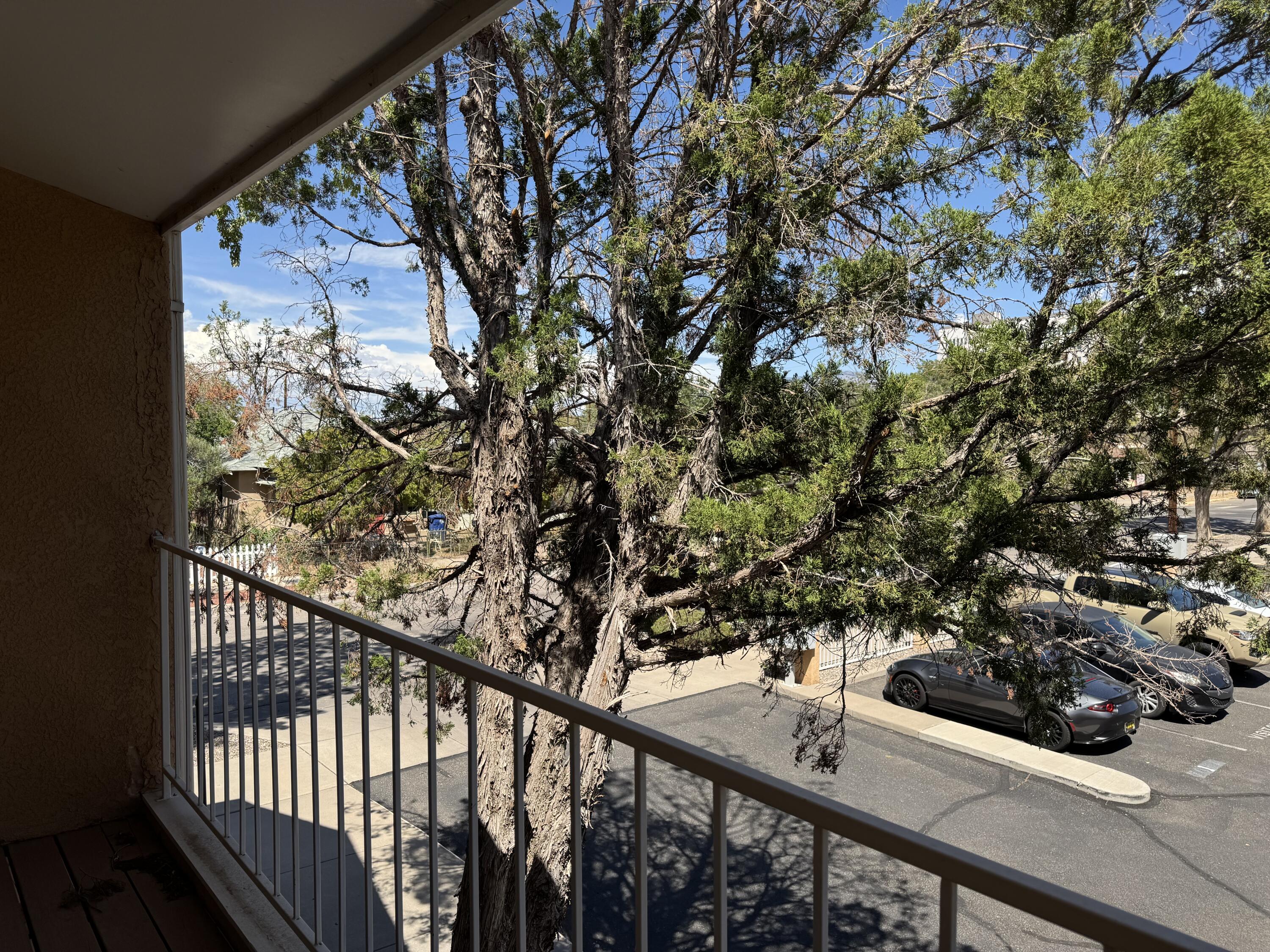 Photo 10 — 706 Fruit Avenue NW # 2