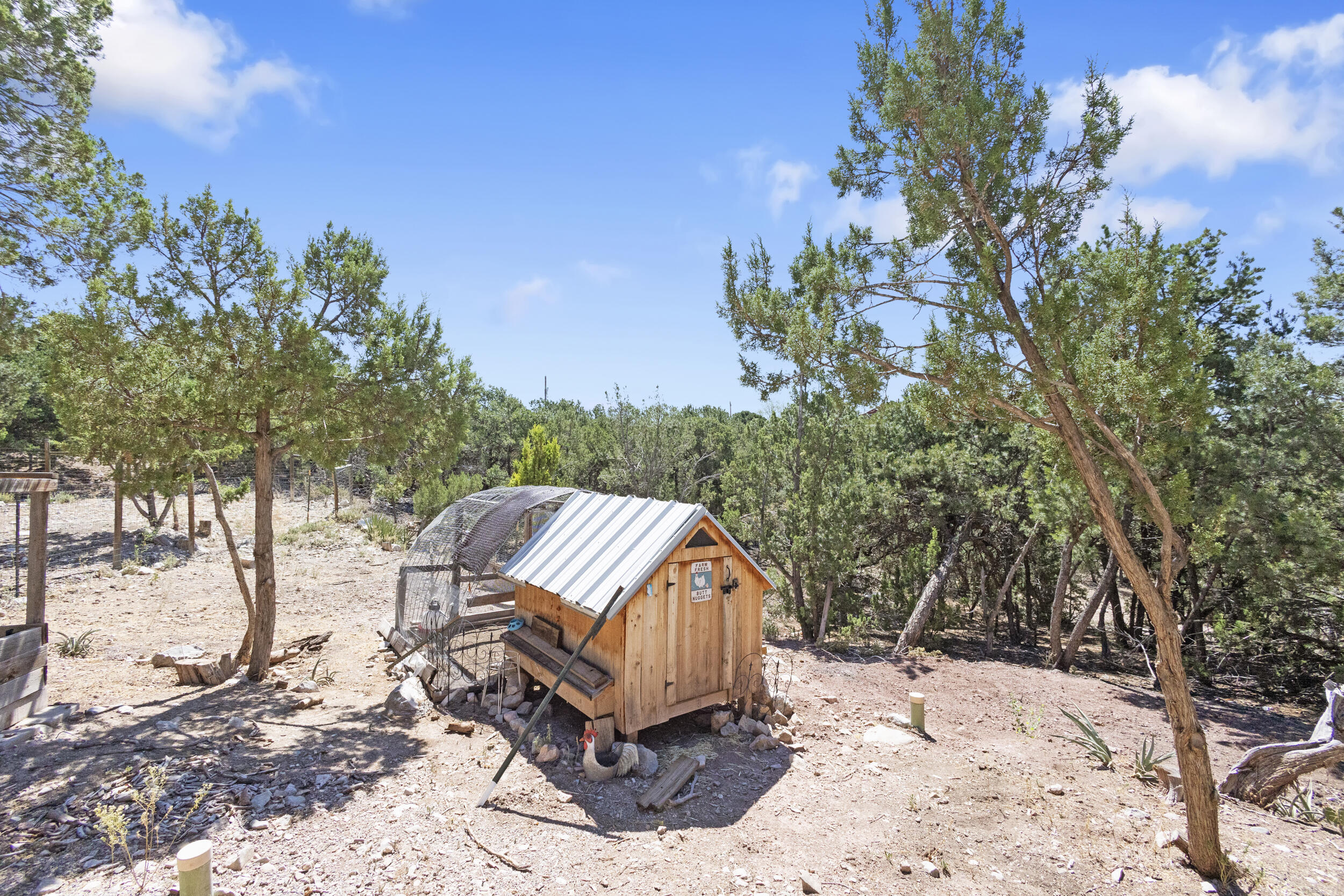 Photo 7 — 17 Tejon Drive