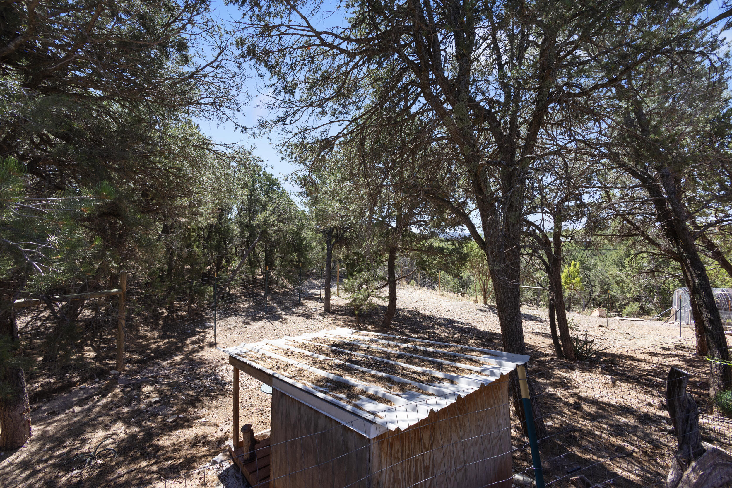 Photo 6 — 17 Tejon Drive