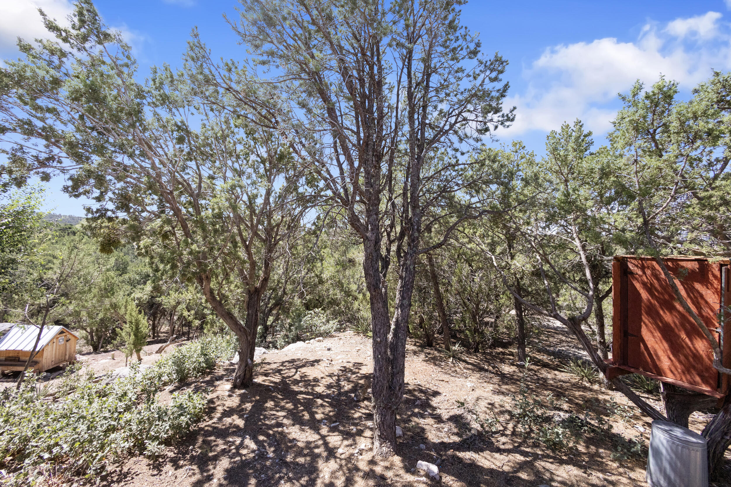 Photo 5 — 17 Tejon Drive