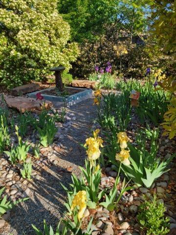 Photo 14 — 3877 Bay Hill Loop SE