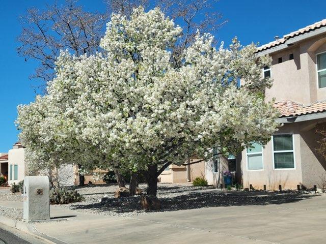 Photo 17 — 3877 Bay Hill Loop SE