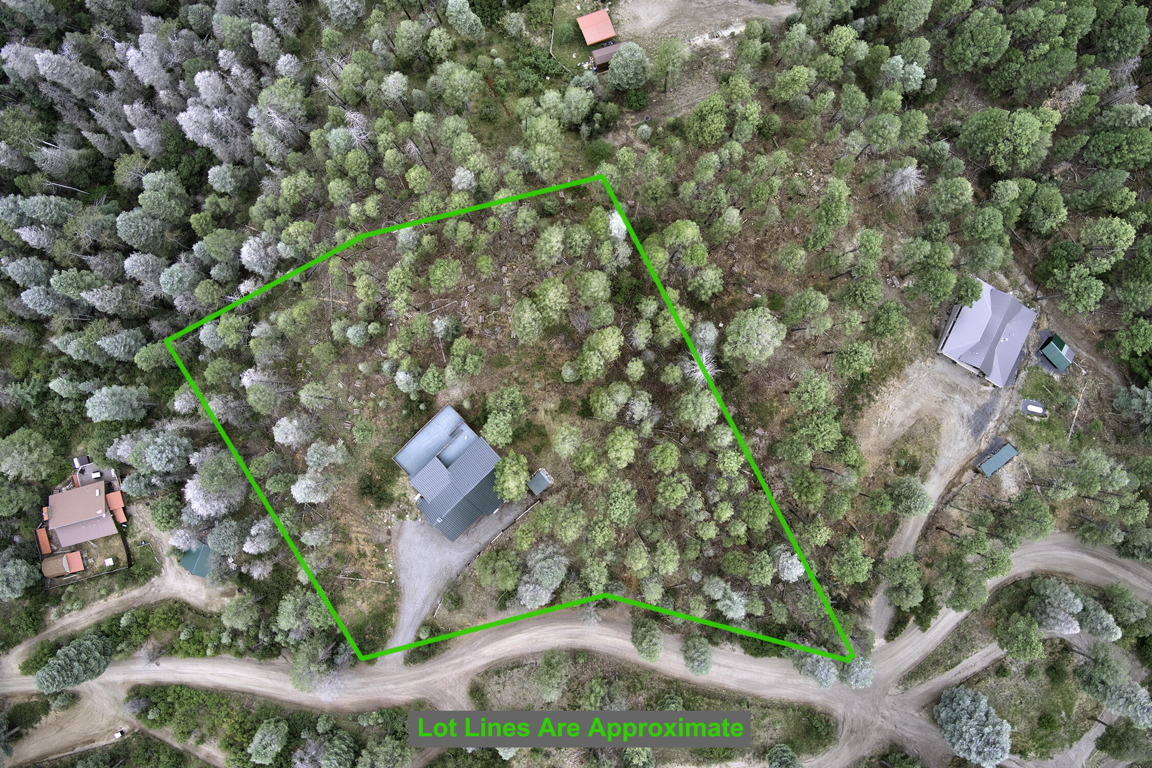 Photo 4 — 1341 Los Griegos Road