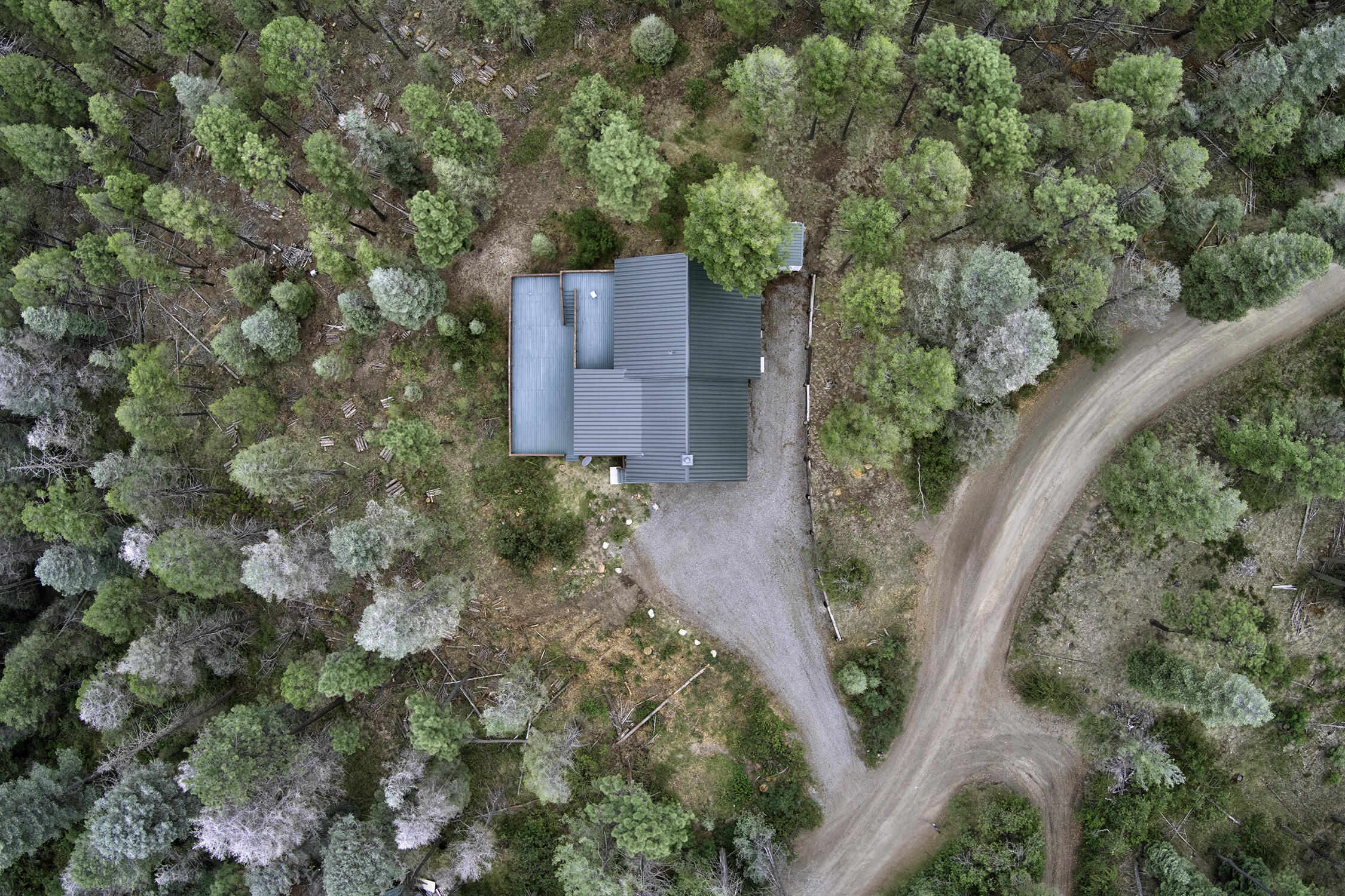 Photo 3 — 1341 Los Griegos Road