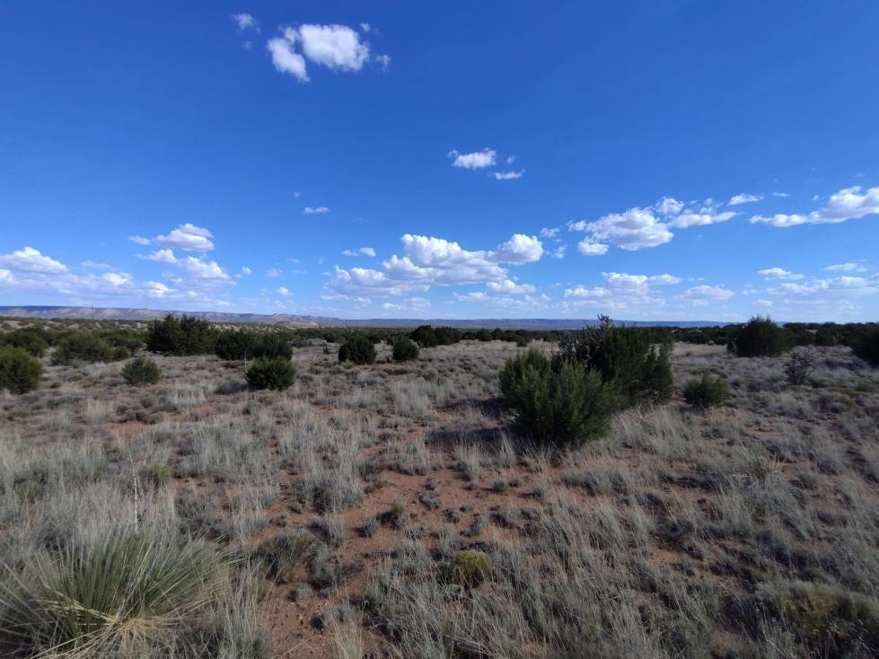 Photo 2 —  Old Abo Trail