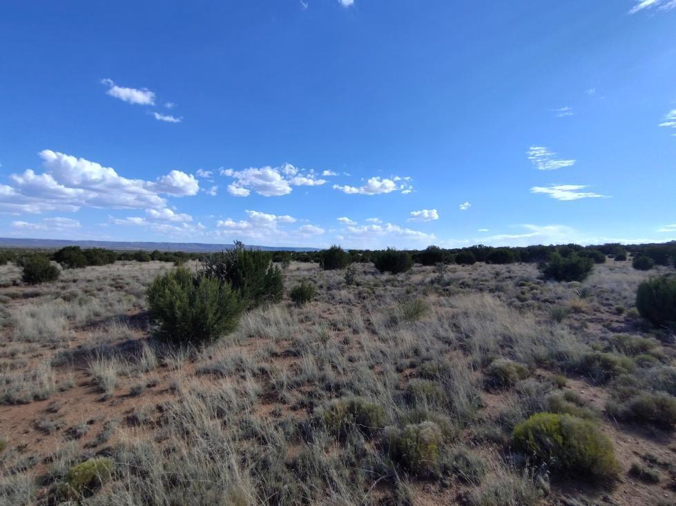 Photo 3 —  Old Abo Trail