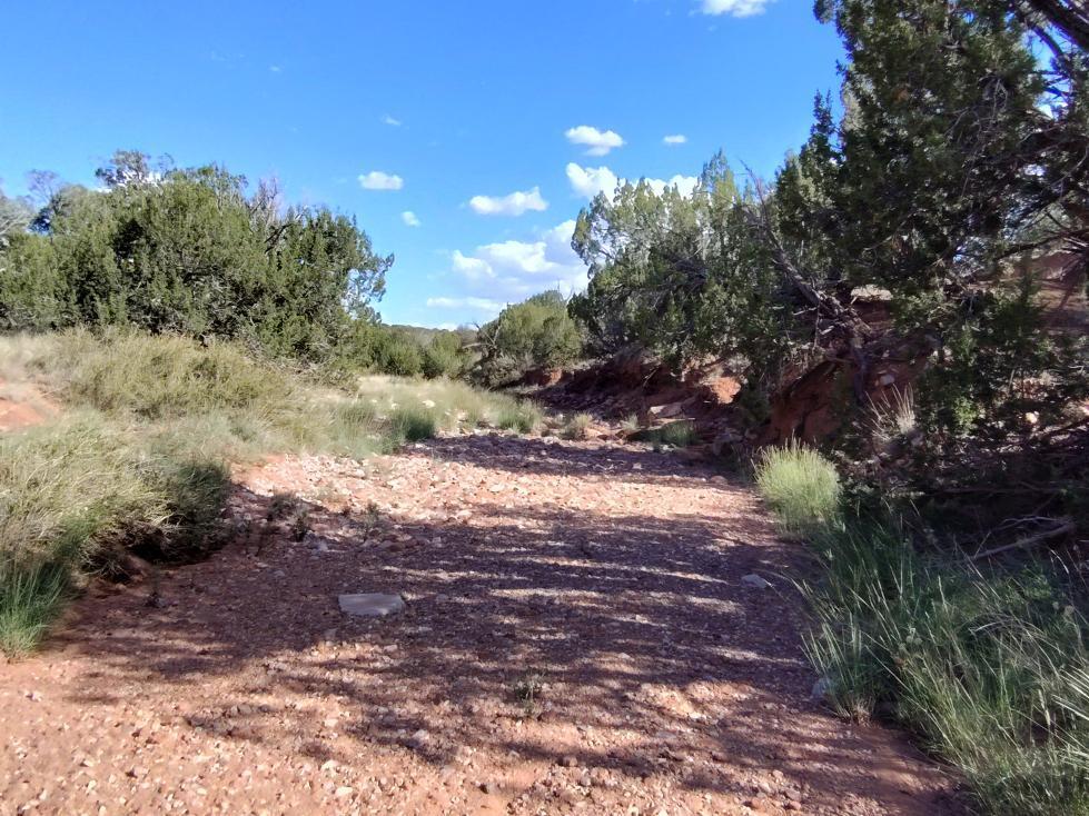 Photo 4 —  Old Abo Trail