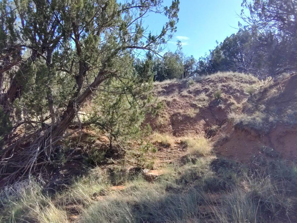 Photo 5 —  Old Abo Trail