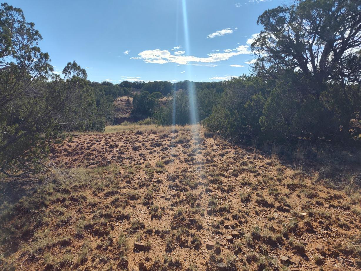 Photo 7 —  Old Abo Trail