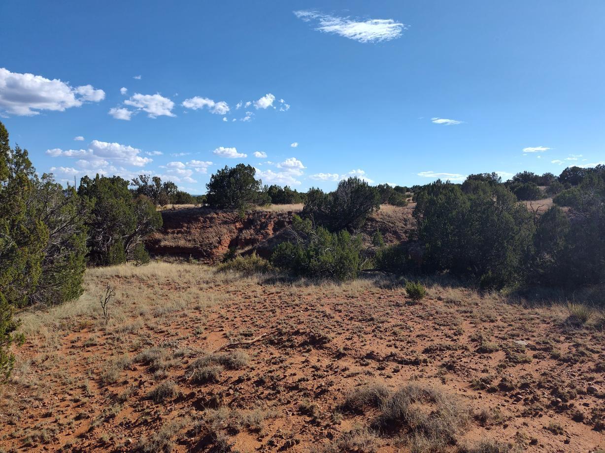Photo 8 —  Old Abo Trail