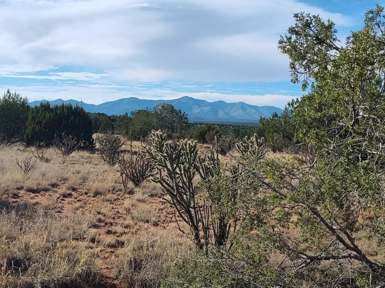 Photo 10 —  Old Abo Trail
