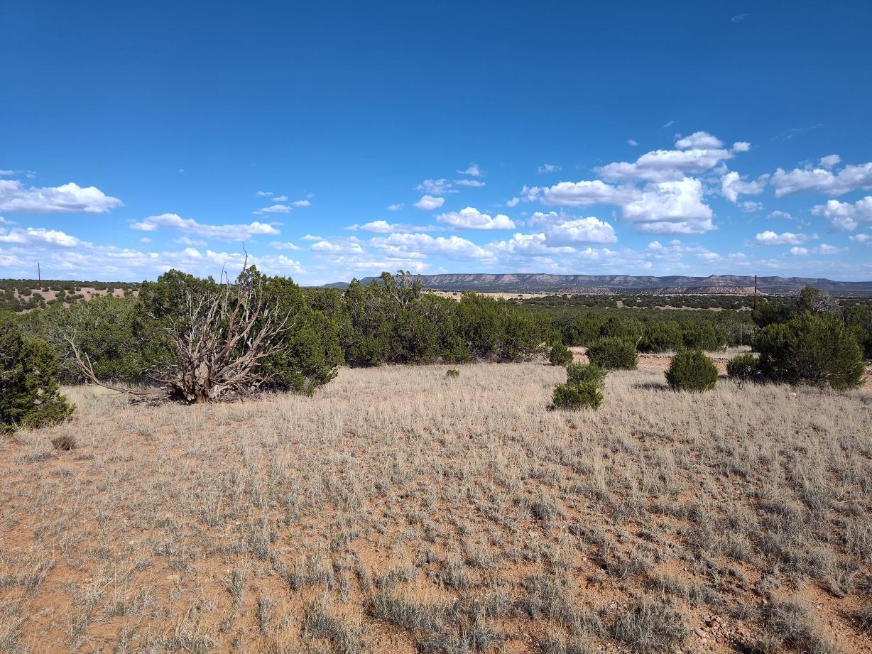 Photo 17 —  Old Abo Trail