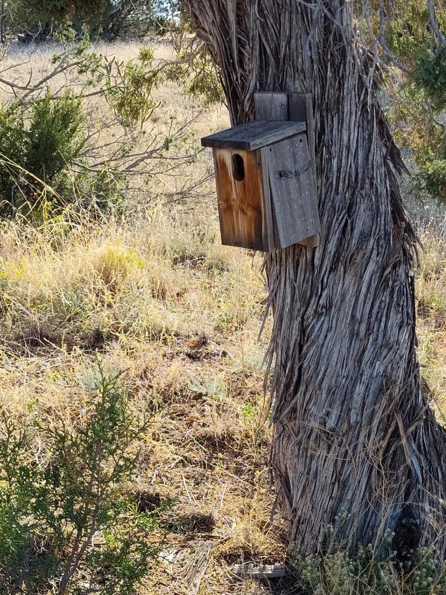 Photo 13 —  Old Abo Trail