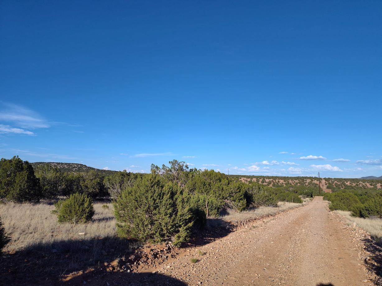 Photo 16 —  Old Abo Trail