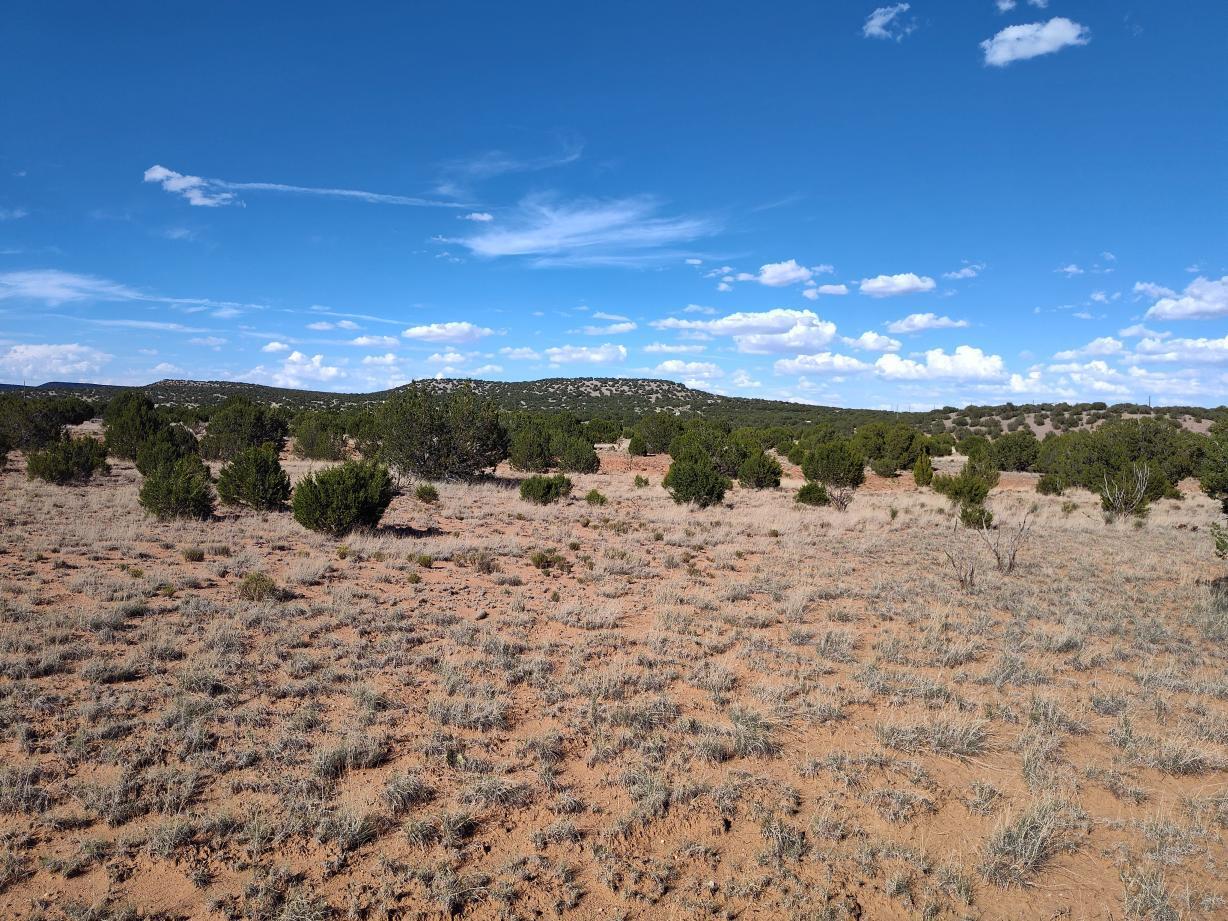 Photo 20 —  Old Abo Trail