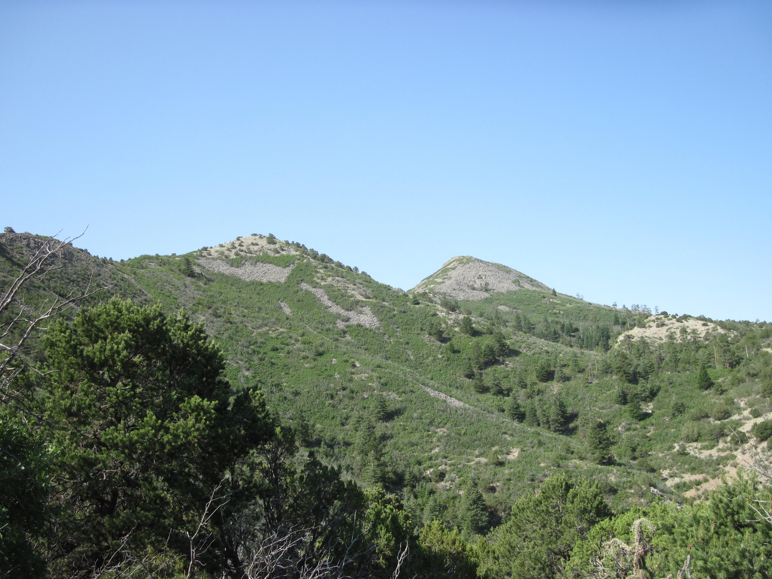 294 Ranchitos Road, Sandia Park, NM 87047