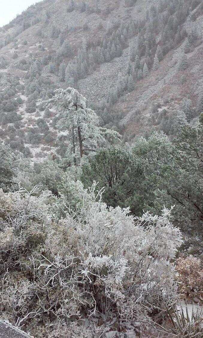 Photo 19 — 294 Ranchitos Road