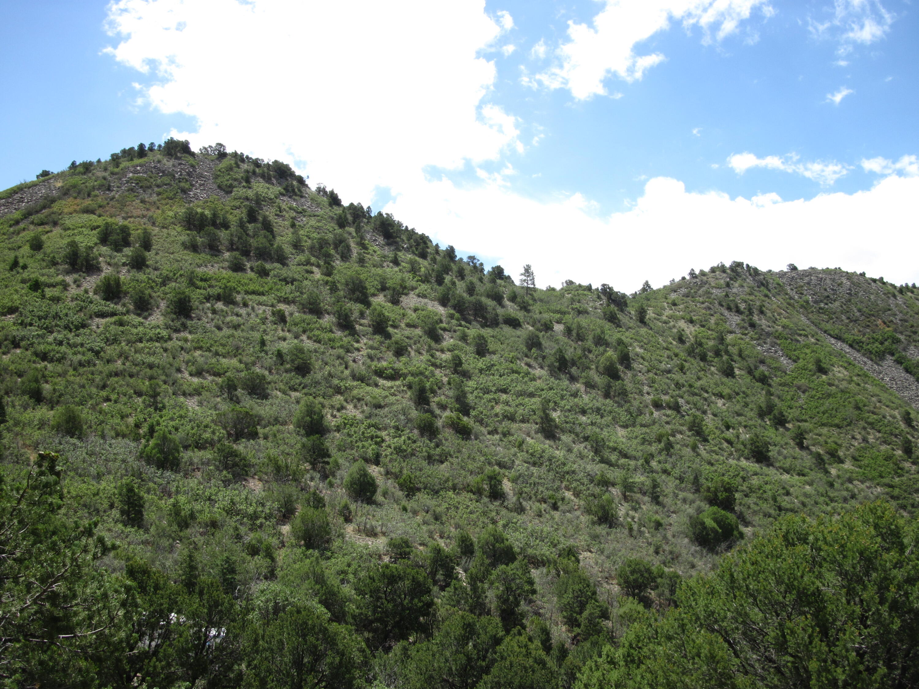 Photo 17 — 294 Ranchitos Road