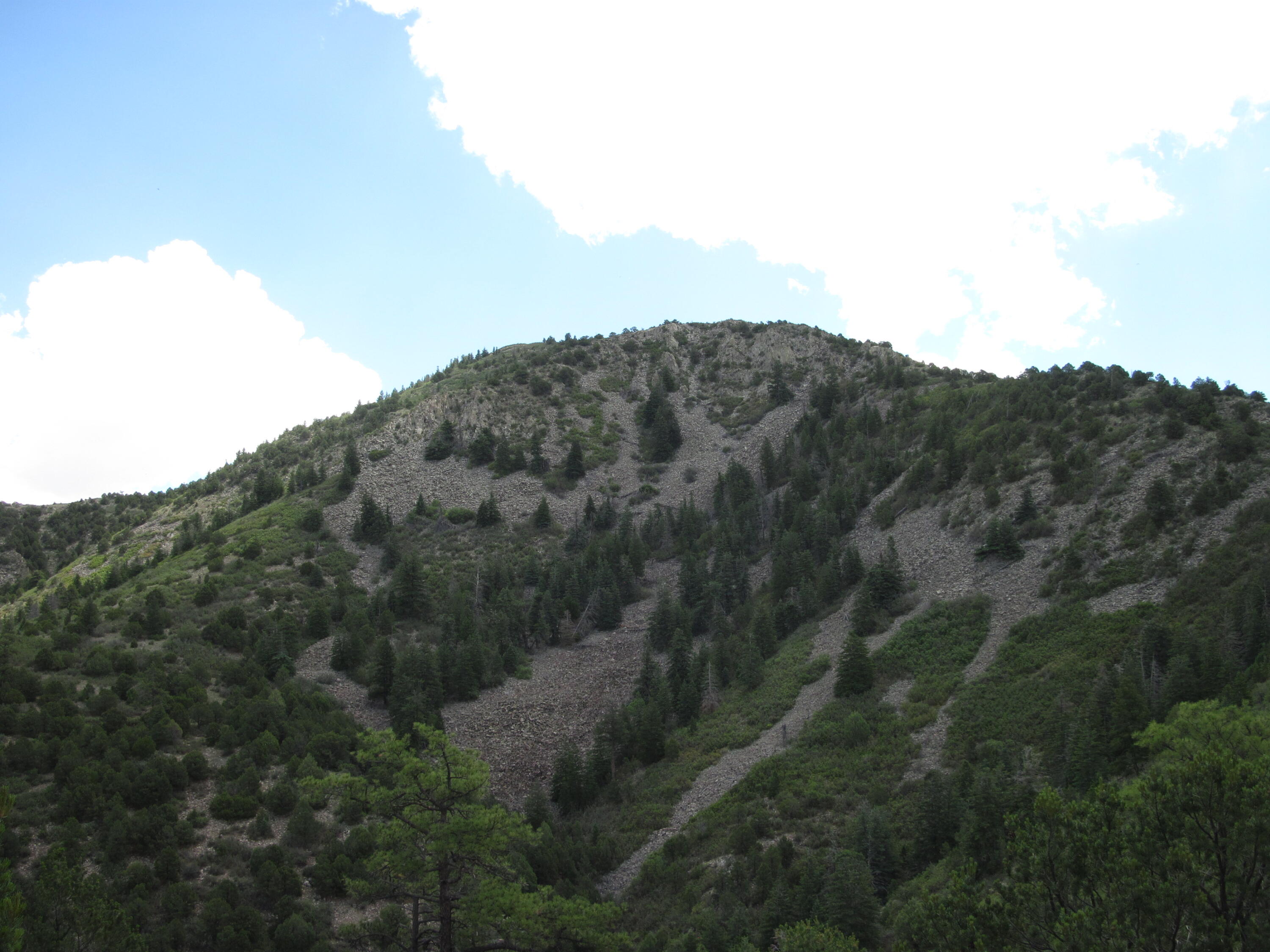 Photo 4 — 294 Ranchitos Road
