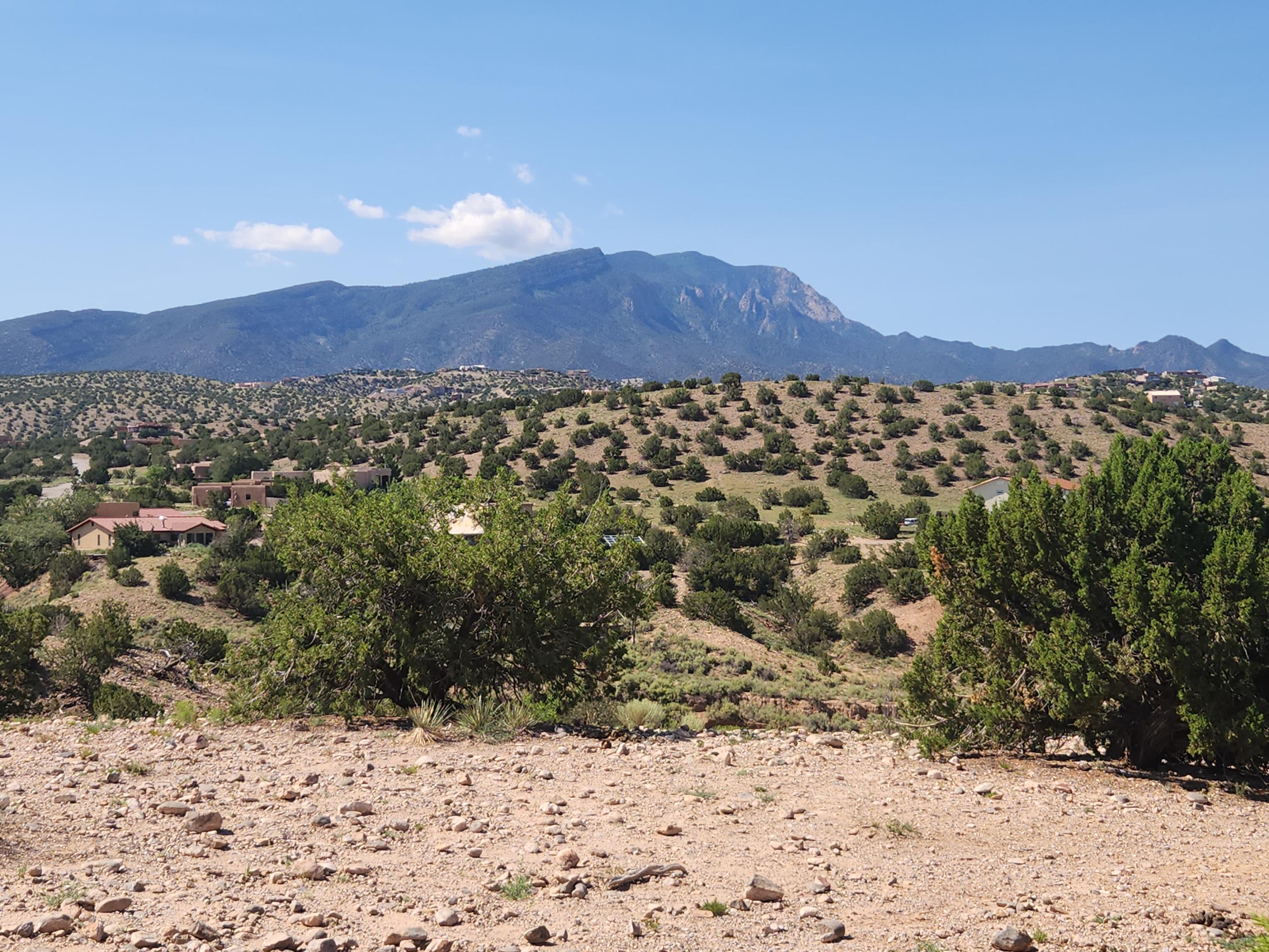  WINDMILL CT, Placitas, NM 87043