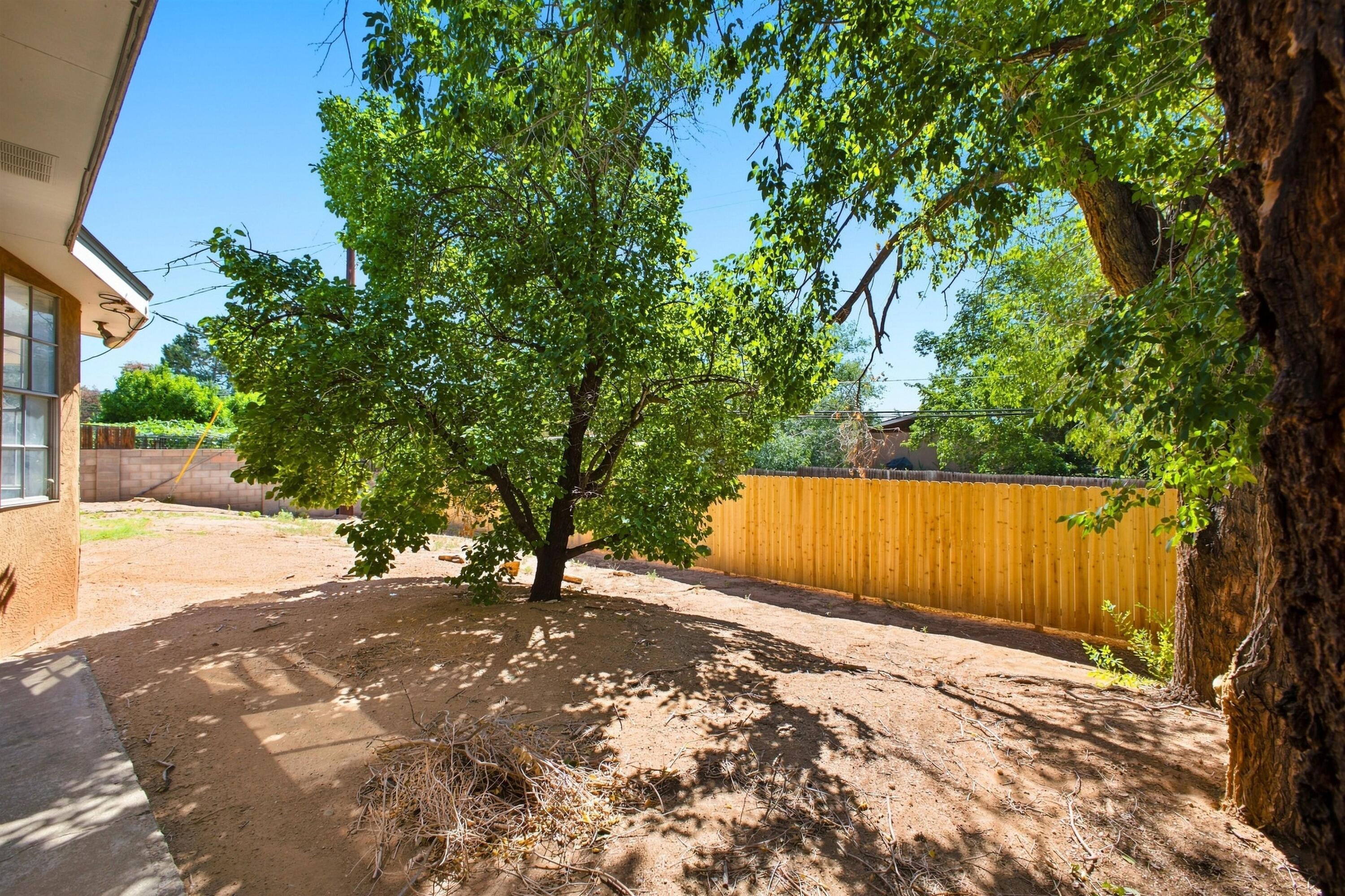 Photo 10 — 7312 Arvada Avenue NE